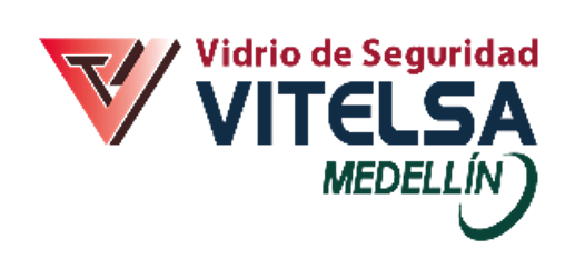 Vitelsa Medellín